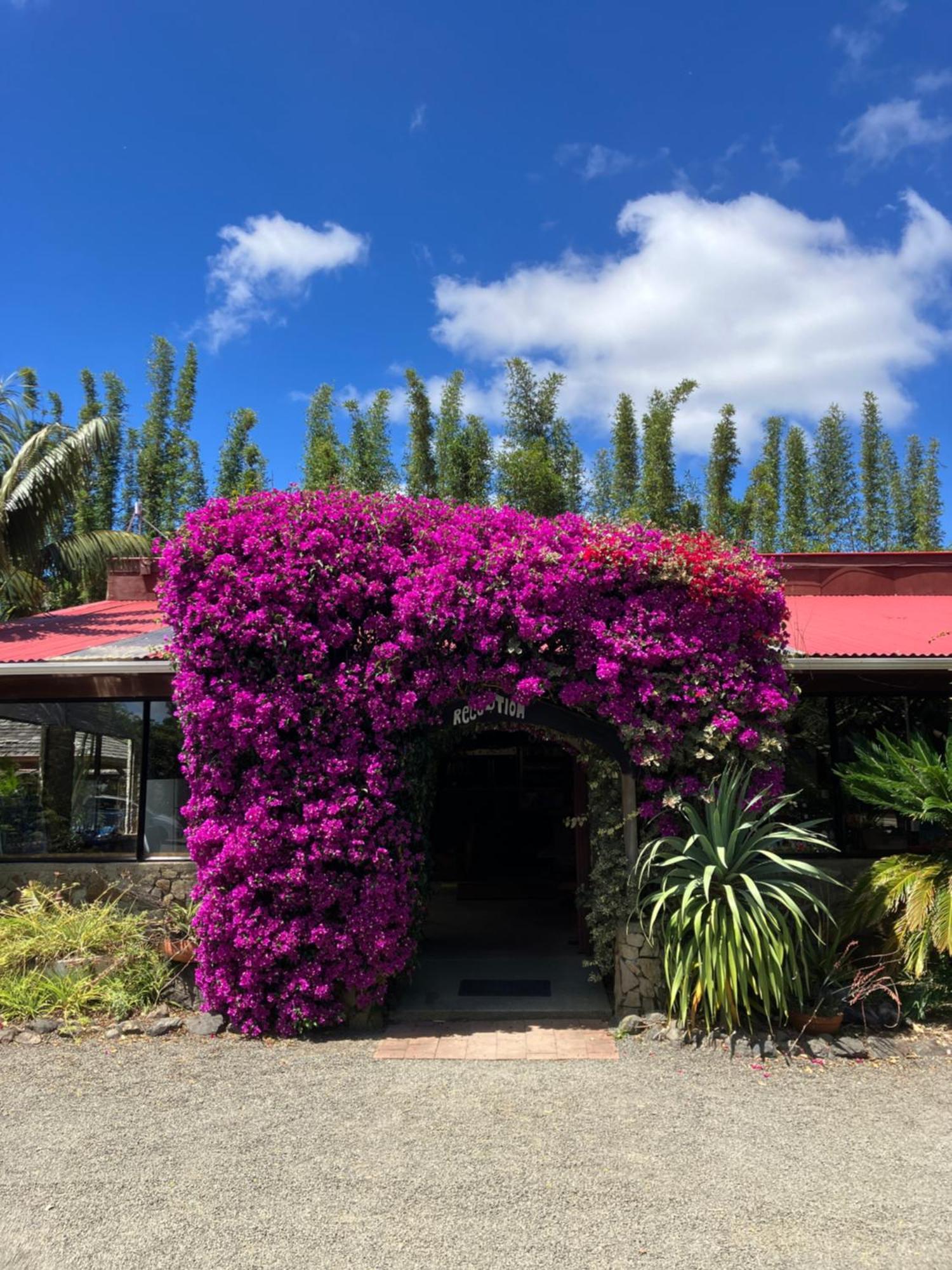 Ahipara Holiday Park Esterno foto