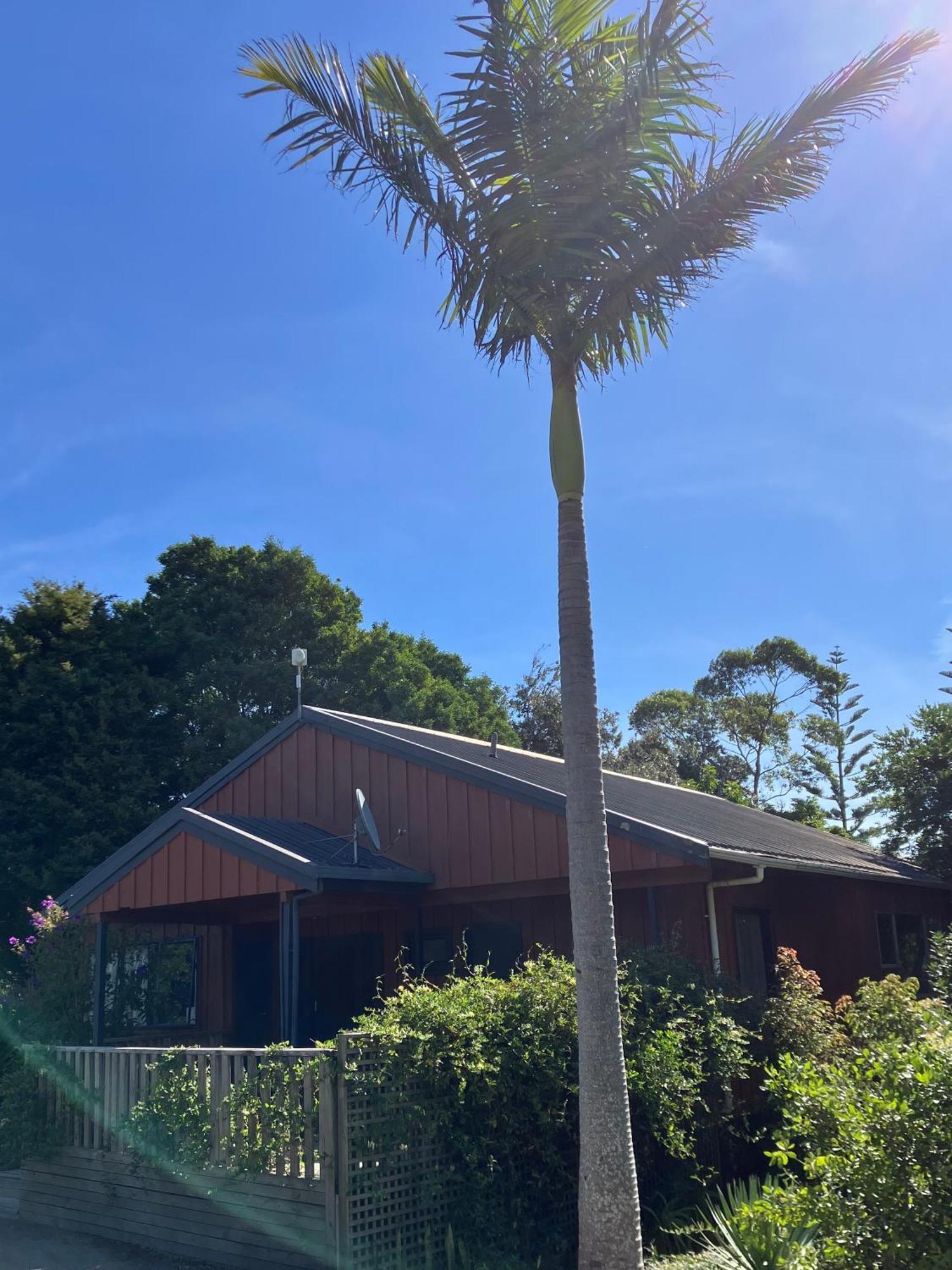 Ahipara Holiday Park Esterno foto